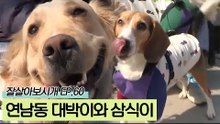 연남동 매력둥이 대박이와 삼식이를 소개합니다