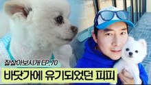 바닷가에 유기되었던 피피를 입양한 준영 씨