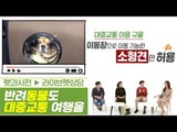 이것만 알면 반려동물도 대중교통 여행 가능하다 [펫과사전] 5회