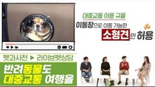 이것만 알면 반려동물도 대중교통 여행 가능하다 [펫과사전] 5회