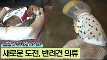 반려견 의류 판매라는 새로운 도전을 계획 중인 학묵 씨
