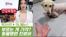 부르는 게 가격? 동물병원 진료비 천차만별 [펫과사전] 1회