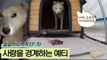 사람을 경계하는 예티에게 전하는 준영 씨의 사랑