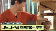 ‘다묘다견’ 반려동물과 함께하는 영화 같은 러브스토리
