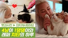 미치개 사랑하묘, 4냥 1댕과 래퍼 치타의 하루 [펫과사전] 2회