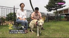[70회 예고] 반려견들과 함께하는 전원 라이프