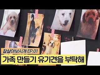 가족 만들기 유기견을 부탁해 [잘살아보시개] 1회