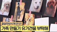 가족 만들기 유기견을 부탁해 [잘살아보시개] 1회