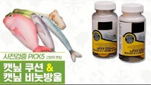 집사가 허락한 고양이 마약, 캣닢 쿠션 & 캣닢 비눗방울 [펫과사전] 10회