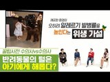 반려동물의 털은 아기의 건강에 해롭다? [펫과사전] 10회