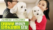 대도서관&윰댕 부부의 반려견 단추&꼬맹이 단꼬! [펫과사전] 6회