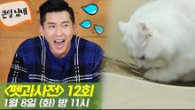 [12회 예고] 펫과사전 with 브라이언 & 고양이 스크래처, 1월 8일 (화) 밤 11시