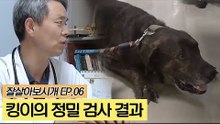킹이의 건강 상태 정밀 검사 결과는? [잘살아보시개] 6회