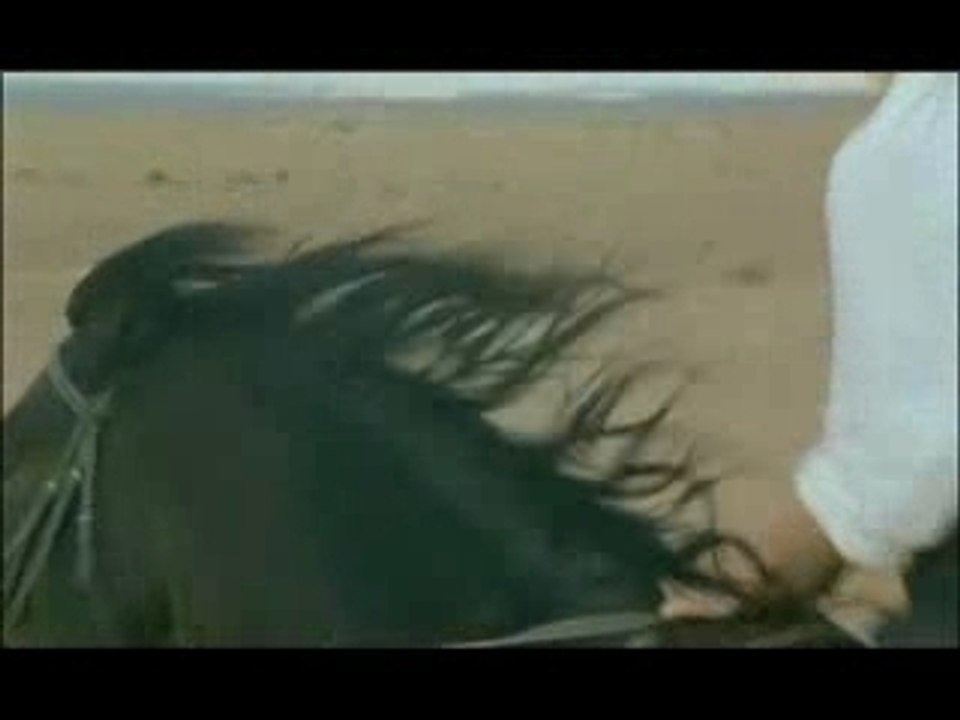 Qu'est-ce que ça peut faire?