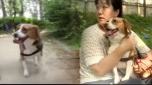[10회 예고] 어디로 튈지 모르는 뽀미의 공격성 [잘살아보시개]