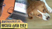 뽀미의 상태 진단! 전문가의 의견은? [잘살아보시개] 10회