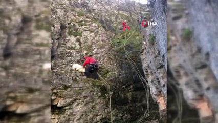 50 metre yükseklikte mahsur kalan keçi kurtarıldı