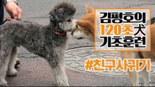 반려견 훈련법 I ‘친구 사귀기’ 훈련 이렇게 해보세요! I 김평호의 120초 犬기초훈련