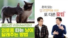 냥이도 외로움을 탄다! 외로움 달래주는 방법은? [펫과사전] 9회