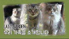 우리 가족을 소개합니다 [고양이정원] 1회