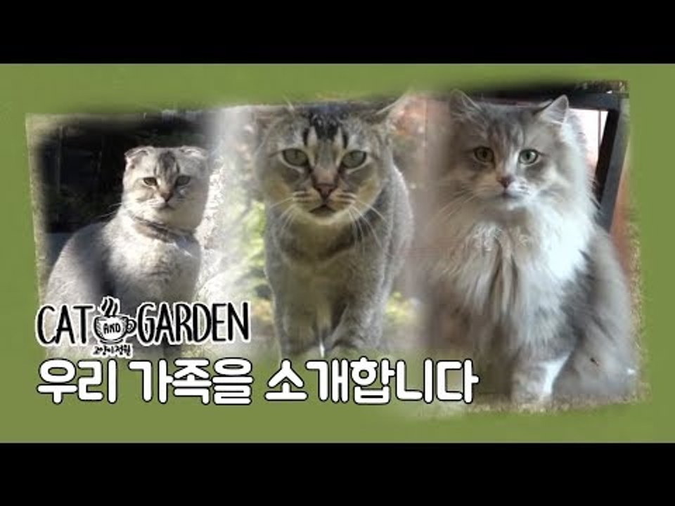 우리 가족을 소개합니다 [고양이정원] 1회