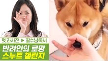 살짝 욕심나는 반려인의 로망, 스누트 챌린지 [펫과사전] 3회