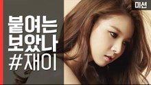 '복순이맘' 피에스타 재이! 후크볼에 도전하다!? [세이브펫챌린지] 11회