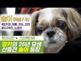 밍키의 25년 묘생의 산증견(犬)까지 등장! [펫과사전] 4회