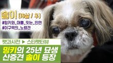밍키의 25년 묘생의 산증견(犬)까지 등장! [펫과사전] 4회