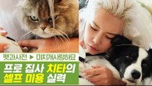 프로 집사 치타의 반려동물 셀프 미용 실력 [펫과사전] 2회