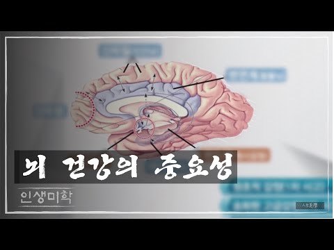 뇌 건강의 중요성 [인생미학] 1회
