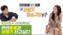 반려동물과 비행기를 타고 싶다면 주목하라! [펫과사전] 5회