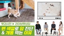 변의 색깔로 암 진단까지? & 개똥을 먹는 충격적 이유 [펫과사전] 2회
