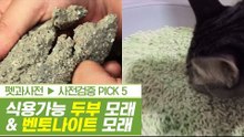 먹어도 OK 두부 모래 & 100년의 역사 벤토나이트 모래 [펫과사전] 3회