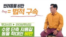 반려동물 수명 단축의 지름길이자 동물 학대 ‘비만’ [펫과사전] 4회