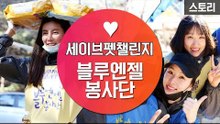 유기견보호소 봉사활동 with 블루엔젤봉사단 [세이브펫챌린지]