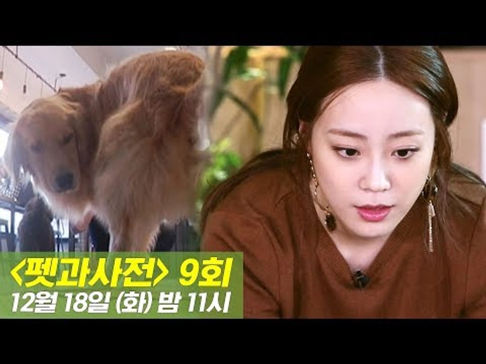 [9회 예고] 펫과사전 With 허영지, 강아지 배변용품! 12월 18일 (화) 밤 11시