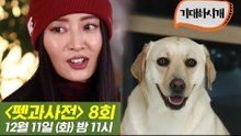 [8회 예고] 펫과사전 With 황보&스타견 아룸이네, 12월 11일 (화) 밤 11시
