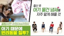 아기 때문에 반려동물이 질투를 한다? [펫과사전] 10회