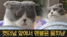 게으른 마초 세젤귀 뚱냥이의 캣터널 사냥 [내가 조선의 요다다] 8회