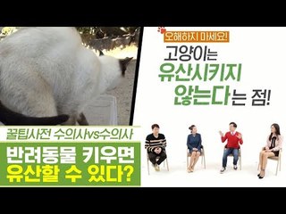 반려동물을 키우면 유산할 수 있다? [펫과사전] 10회