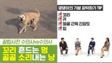 꼬리 흔드는 강아지와 골골 소리 내는 고양이의 진실! [펫과사전] 9회