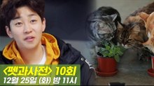 [10회 예고] 펫과사전, with 딘딘 & 고양이 캣닢! 12월 25일 (화) 밤 11시