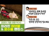 댕댕이 겨울 여행, 허브밭 & 온수풀 펜캉스 [펫과사전] 11회