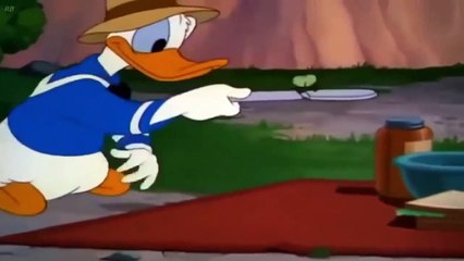 Chip n Dale, Donald and Mickey mouse Cartoons | Disney Best Cartoon Episodes Compilation