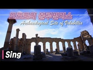 신문희의 추천음악 ‘볼루빌리스’ [나 혼자 간다 여(女)행] 스페셜