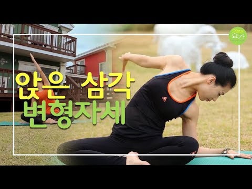 앉은 삼각 변형 자세 [오늘의 요가] 1회