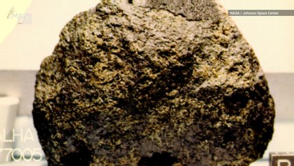 Clues to Life on Mars? Scientists Find Organic Material in Martian Meteorite