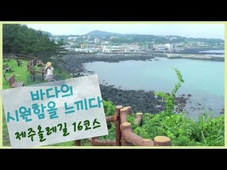 바다의 시원함을 느끼다, 16코스 [힐링로드를 가다 - 제주 올레길] 2회