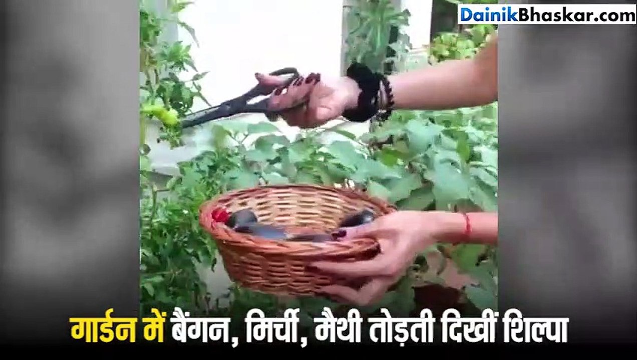 शिल्पा शेट्टी घर के पीछे छोटी सी जगह में करतीं है खेती
